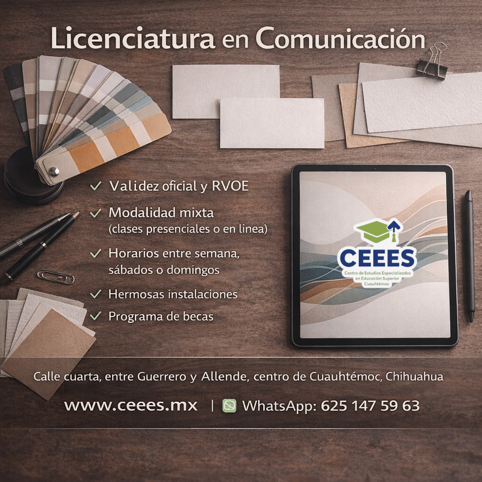 Licenciatura en Comunicación