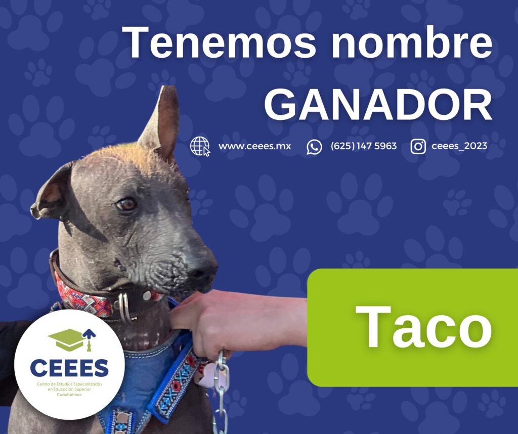 🌟 ¡Anunciamos el nombre ganador para nuestro querido Xoloitzcuintle! 🌟